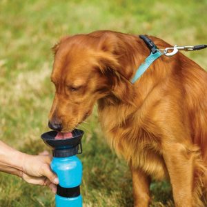 Portable Pet Dog Water Bottle