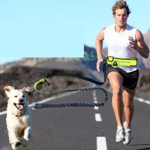 Multifunction Waterproof Pockets Sports Running Jogging Dog Leads Leash puppy Traction rope chain Collars