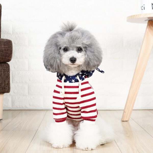 Pet Dog Clothes Teddy Two Feet Clothing Sweater Spring and Autumn Cat T-shirt