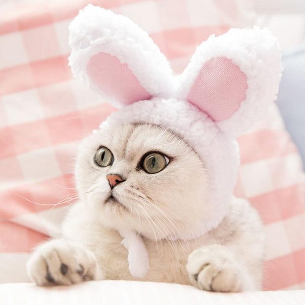 Funny Pet Dog Cat Rabbit Ears Hat Rabbit Wig Costume Winter Warm Puppy Headwea