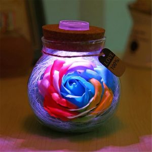 Handmade Valentine's Day Gifts Preserved Rose Flower in Glass Dome w/ LED Lights Decorations