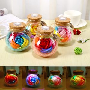 Handmade Valentine's Day Gifts Preserved Rose Flower in Glass Dome w/ LED Lights Decorations