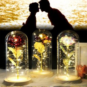 Romantic Eternal Rose Flower LED String Night Light Gift For Birthday Wedding Valentine's Day