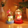 Beauty and the Beast Battery Powered LED Rose Bottle Night Light String Light Desk Lamp Romantic Valentine's Day Birthday Gift