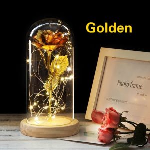 Romantic Eternal Rose Flower LED String Night Light Gift For Birthday Wedding Valentine's Day