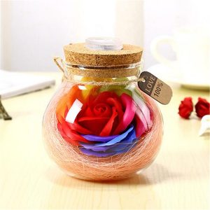 Handmade Valentine's Day Gifts Preserved Rose Flower in Glass Dome w/ LED Lights Decorations