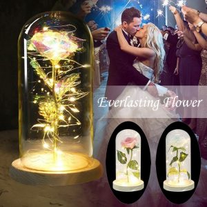 Romantic Eternal Rose Flower LED String Night Light Gift For Birthday Wedding Valentine's Day