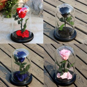 Forever Rose Flower Valentine's Day Festive Preserved Rose Gifts in Glass Decorations