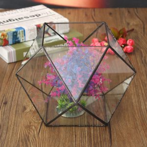 Polygon Greenhouse Glass Terrarium DIY Micro Landscape Succulent Plants Flower Pot