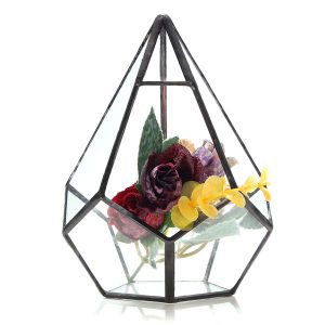 Succulent Plant Triangle Greenhouse Glass Terrarium DIY Micro Landscape Glass Bottle