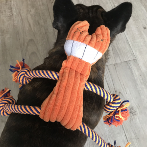 Dogs Squeaky Toy Orange Cat Design Corduroy Knot Chew Toys