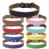 Lovely Pet Dog Buckle Faux Leather Collar Neck Strap Dog Collar