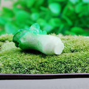 Micro Landscape Decor Mini Chinese Cabbage Eco Bottle Landscaping