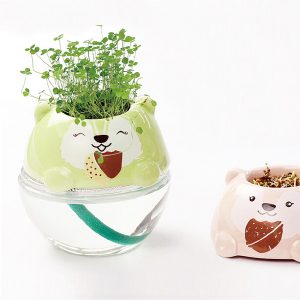 DIY Mini Cute Bear Grass Potted Plant Desktop Office Decor