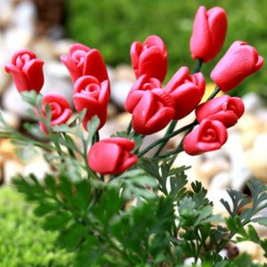 Artificial Flowers Callalily Tulip Rose Small Ornaments Moss Micro Landscape