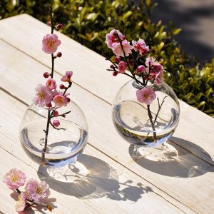 Hydroponic Plants Hanging Ball Shape Glass Vase Home Garden Decor