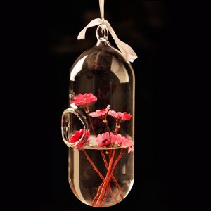 Hydroponic Plants Flower Pill Shape Hanging Glass Vase Home Decor