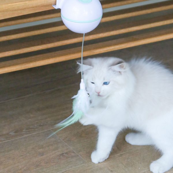 USB Electric Pet Cat Toy LED Irregular Laser Funny Cat Stick Home Pets Funny Pet Toys with Replacebale Feather