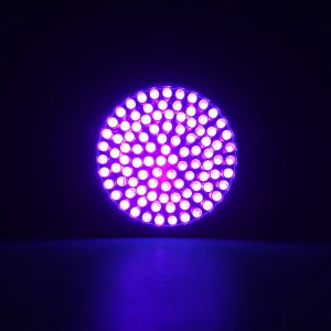 XANES U05 100 x LEDs 395nm Violet UV Fluorescence Sterilization Banknote LED Flashlight