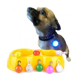 Pet Night Safety LED Flashlight,Push Button Switch Glow In The Dark Bright Pets Supplies Accessories Cat Dog Collar Leads Lights