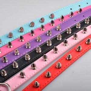 Color Single Row Rivet Durable Anti-bite Leather Collar Pet Dog Collar