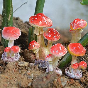 Garden Ornaments Mini Mushroom Toadstool DIY Landscape Decorations Ideal For Plant Pots