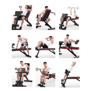Multifunctional Sit Up Bench Adjustable Exercise Dumbbell Stool Fitness Workout Training Equipment