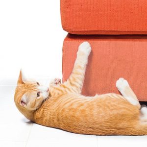 Honana Pack of 2 Cat Scratching Corner Guard No Pins Needed For Cat Scratching Furniture Couch